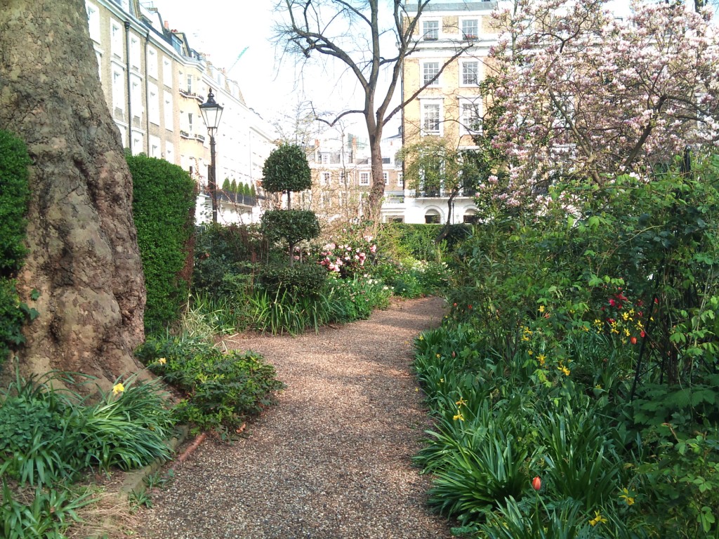 Office garden water feature and box hedging